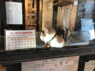 貴志駅の写真