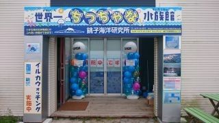 世界一ちっちゃな水族館の写真