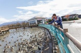 瓢湖水きん公園の写真