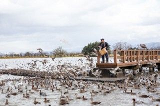 瓢湖水きん公園