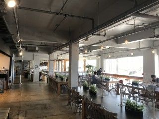 「P.N.わんわん」さんからの投稿写真@犬吠テラステラス