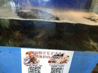 犬吠テラステラス