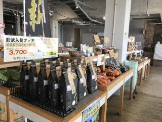 犬吠テラステラス