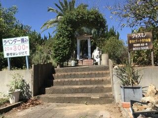 海のそばのハーブ園 ハーブガーデン・ポケット