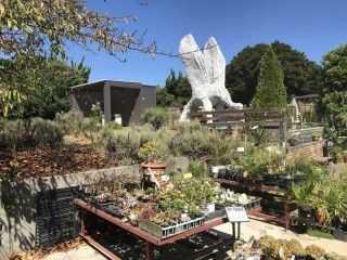 海のそばのハーブ園 ハーブガーデン・ポケット