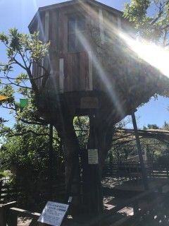 海のそばのハーブ園 ハーブガーデン・ポケット