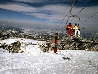 天元台高原の写真