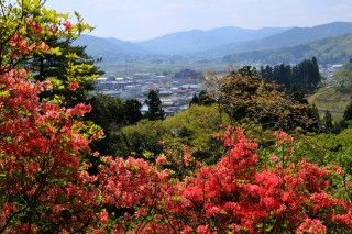 百々石公園の写真