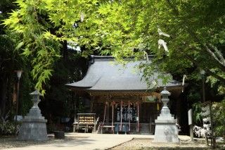 陸奥総社宮の写真