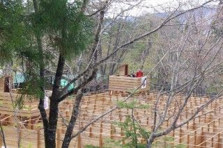 ウッドアドベンチャー郡上&巨大迷路の写真