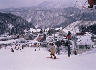 わかさ氷ノ山スキー場の写真