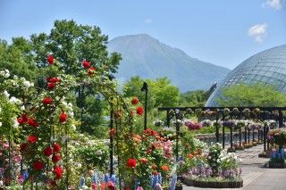 とっとり花回廊