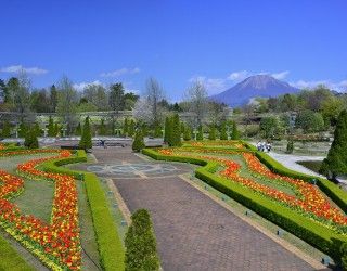 とっとり花回廊の写真