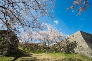 米子城跡の写真