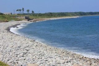 鳴り石の浜の写真