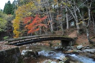 芦津渓谷の写真