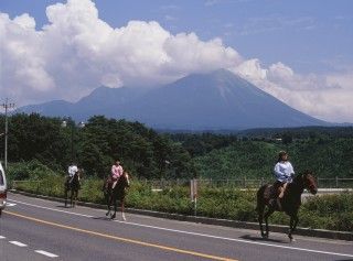 大山乗馬センターの写真