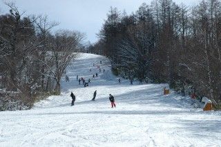 エーデルワイス・スキーリゾートの写真