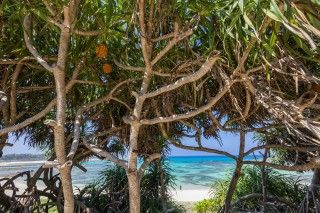 土盛海岸の写真