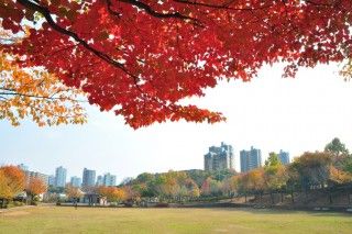 上柚木公園の写真