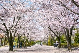 陵南公園の写真