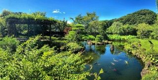 高尾駒木野庭園の写真