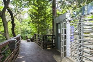 東北大学植物園の写真