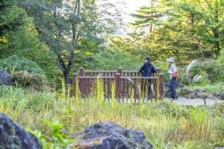 仙台市野草園の写真