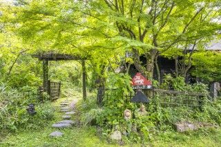 石神ゆめの森の写真