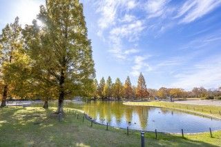 七北田公園の写真