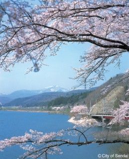 大倉ダムの写真