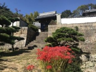 長徳寺の写真