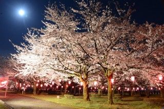 魚津総合公園（みらパーク）の写真