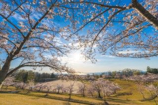 魚津桃山運動公園の写真