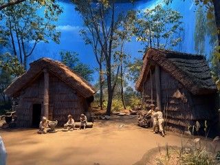 新潟県立歴史博物館の写真