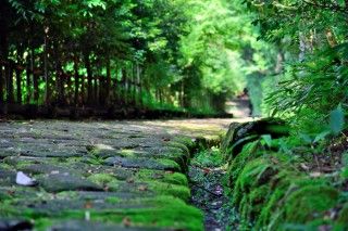 中山道 落合宿の写真