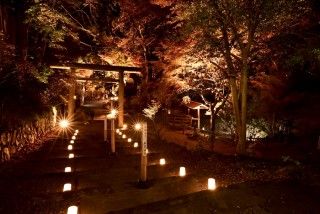 唐沢山城跡の写真