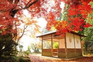 興聖寺（滋賀）の写真