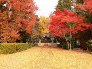 春日神社の写真
