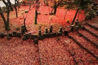 瓦屋禅寺の写真