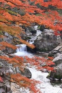 大蛇ヶ淵（大瀧神社）の写真
