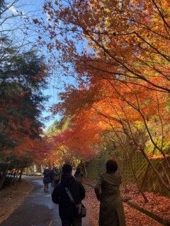 三雲城址の写真