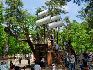 国営武蔵丘陵森林公園の写真