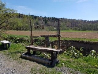 麓郷の森の写真