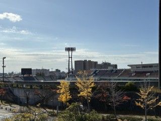 新潟市陸上競技場