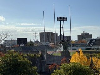 新潟市陸上競技場の写真