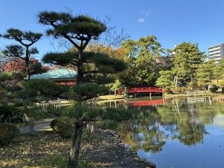 白山公園の写真