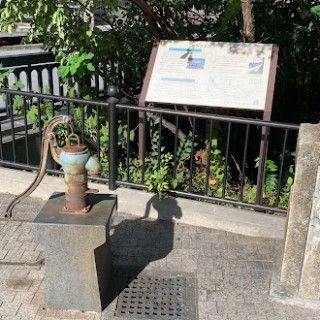 「P.N.こととろ」さんからの投稿写真@玉川上水