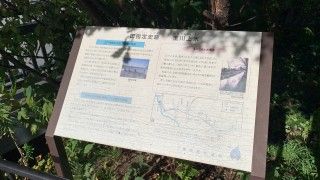 「P.N.こととろ」さんからの投稿写真@玉川上水