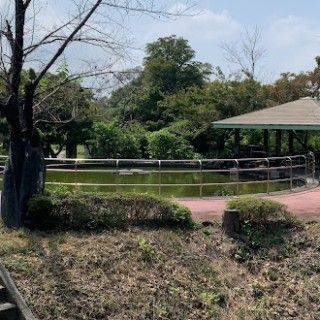 城山公園（佐野城跡）